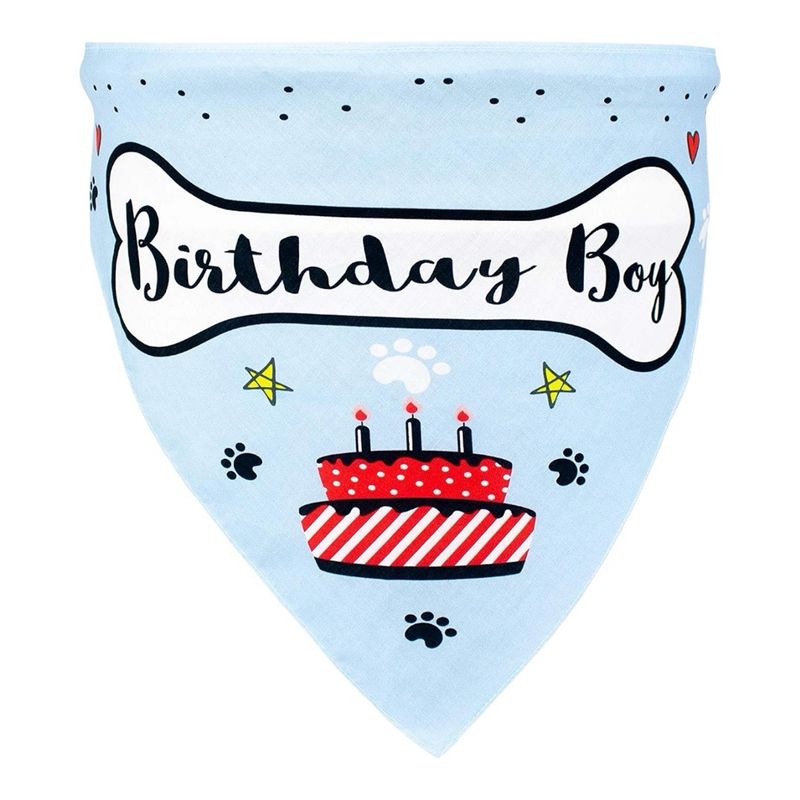 Birthday Boy Bandana