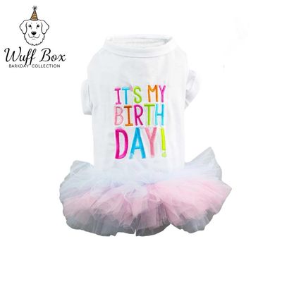 Birthday Girl Tutu Dress 