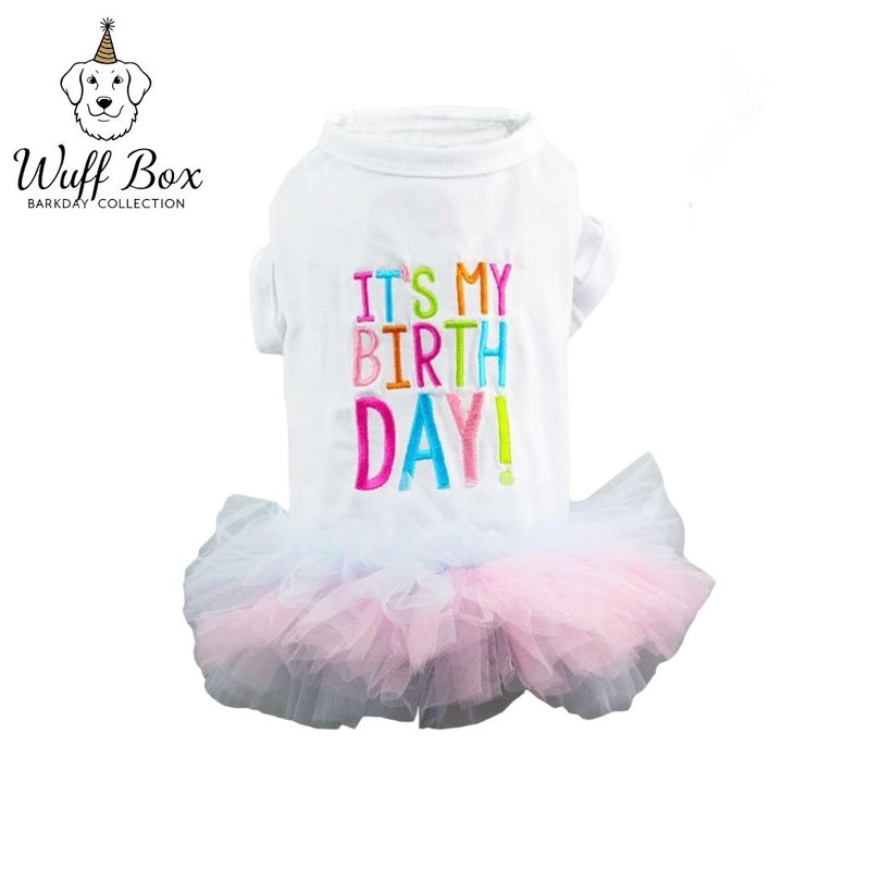 Birthday Girl Tutu Dress 