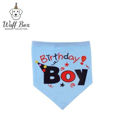 Birthday Boy Confetti Print Bandana 
