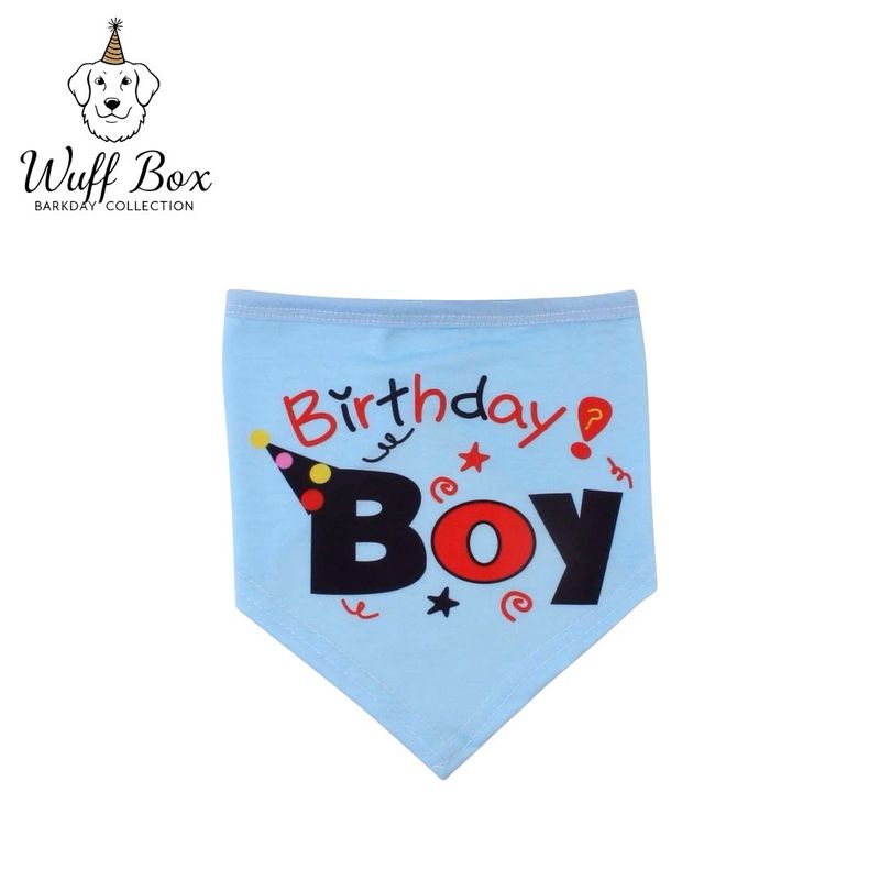 Birthday Boy Confetti Print Bandana 