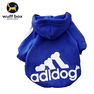 Active Wear Apparel