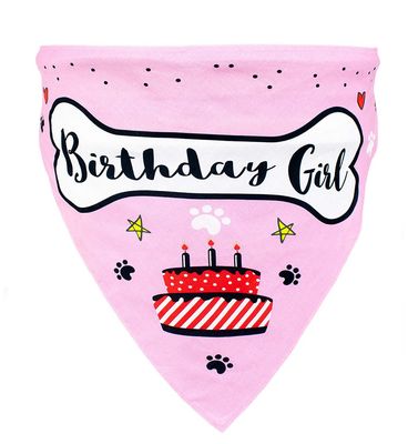 BarkDay Accessories