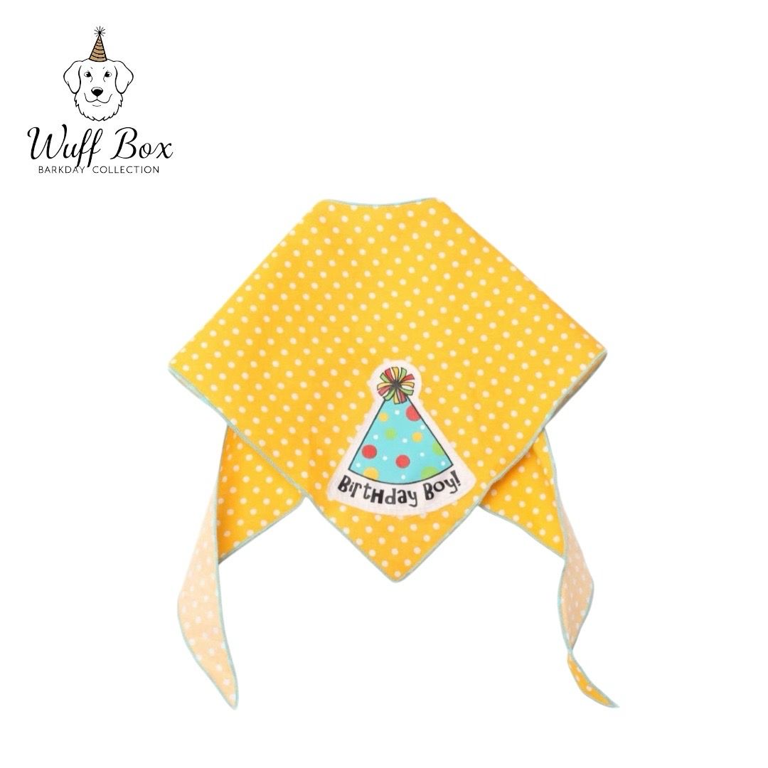 Tail Trends BarkDay Bandana 