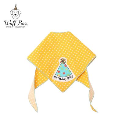 Tail Trends BarkDay Bandana 