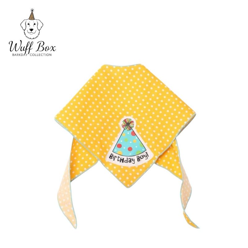 Tail Trends BarkDay Bandana 