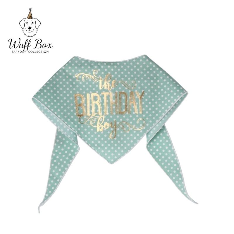 Tail Trends BarkDay Bandana 
