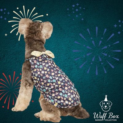 Bow Knot Cotton BarkDay Dress