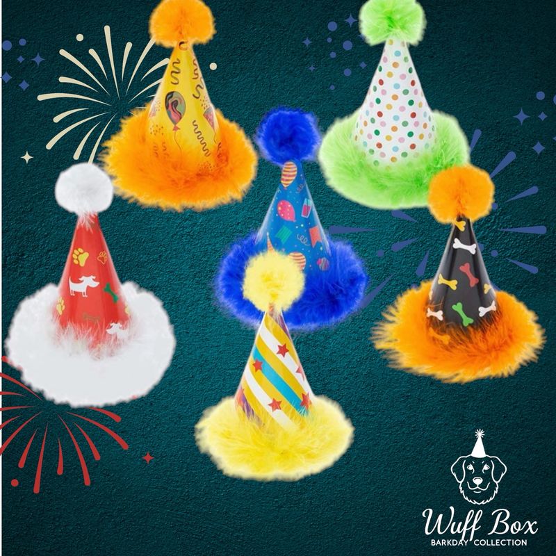 BarkDay Pawty Feathered Hats