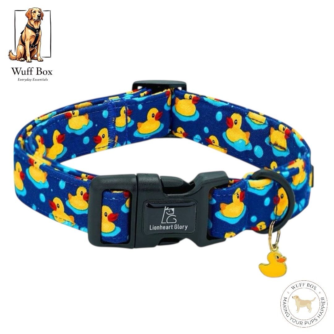 Lionheart Glory Ducky Print Collar