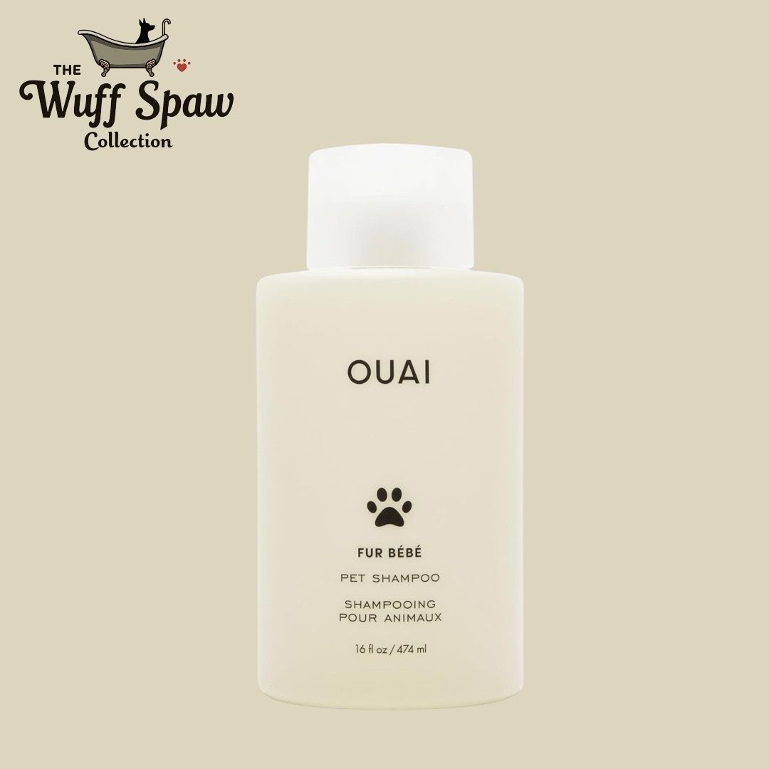 OUAI Fur Bébé Pet Shampoo, Mercer Street Scent - Dog Shampoo and Coat Wash for Hydrating, Cleansing and Adding Shine - Pet Supplies by OUAI (16 Fl Oz)