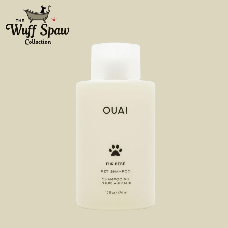 OUAI Fur Bébé Pet Shampoo, Mercer Street Scent - Dog Shampoo and Coat Wash for Hydrating, Cleansing and Adding Shine - Pet Supplies by OUAI (16 Fl Oz)