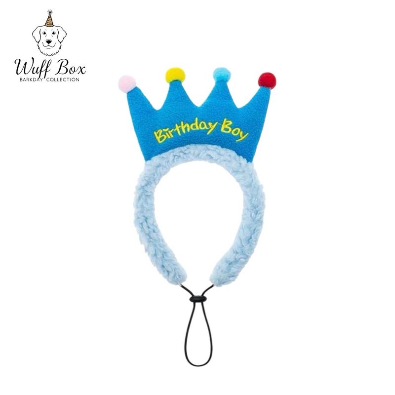 Birthday Boy Adjustable Head Band