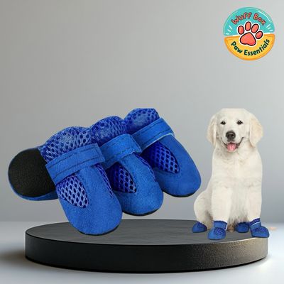 Royal Blue - Suede Velcro Booties