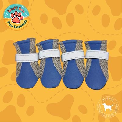 Royal Blue &amp; Grey -  Velcro Booties 
