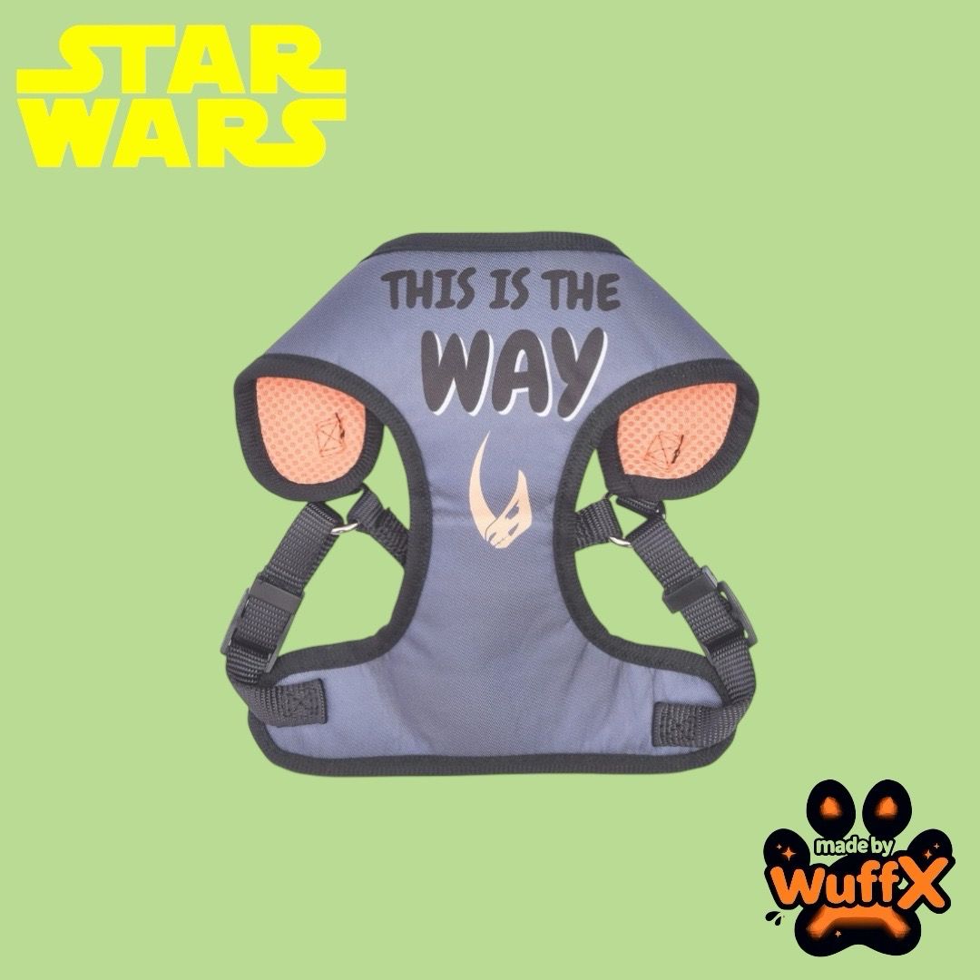 STAR WARS - The Mandalorian - “ This is the Way” Harness 