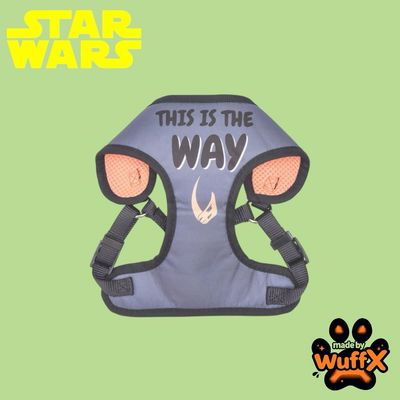 STAR WARS - The Mandalorian - “ This is the Way” Harness 