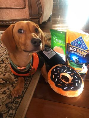 Howl-O-Ween Collection