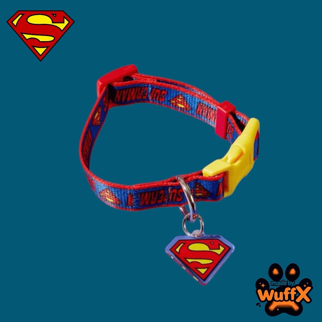 DC Comics - Superman Dog Collar + Charm