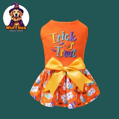 Halloween Dresses