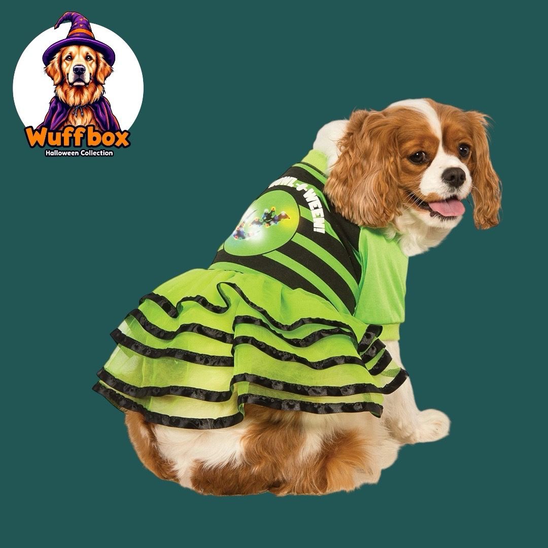 Rubie’s Pet Shop Boutique - Light Up Halloween Costume