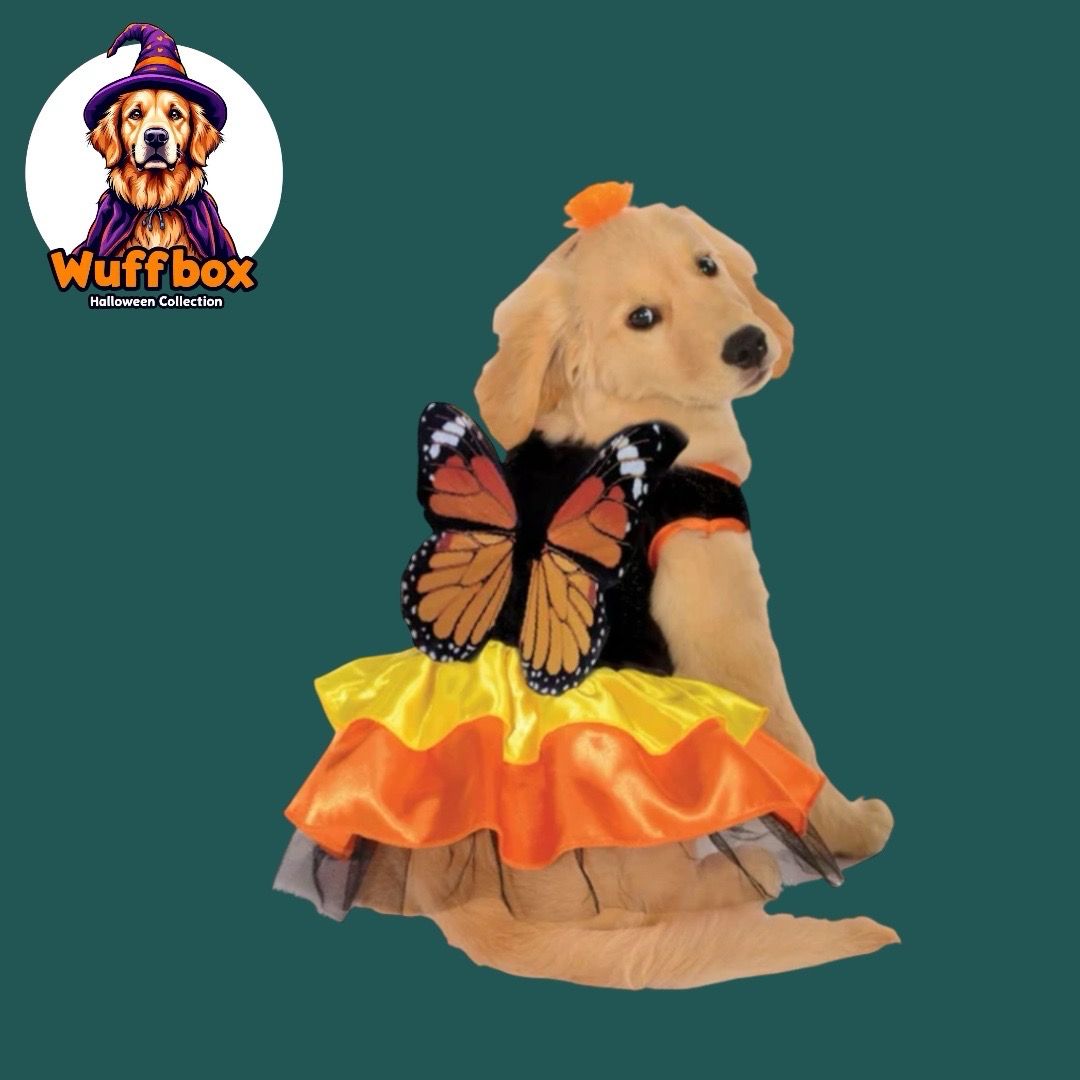 Rubies Pet Shop Boutique - Halloween Butterfly Costume