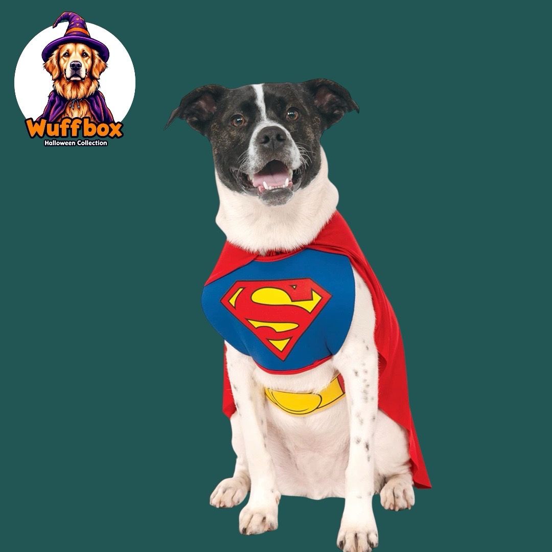 Superman Halloween Costume