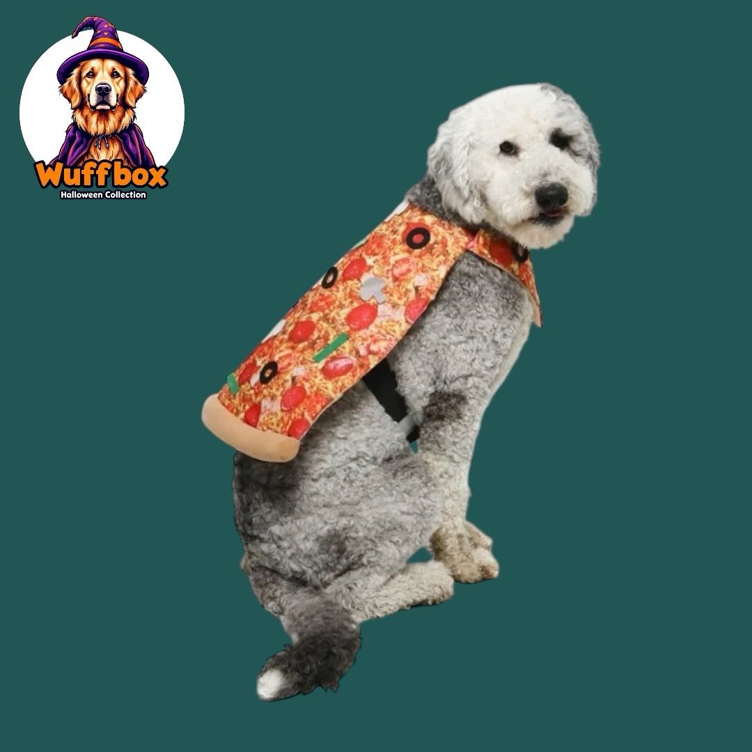 Rubie’s Pet Shop Boutique - Pizza Costume