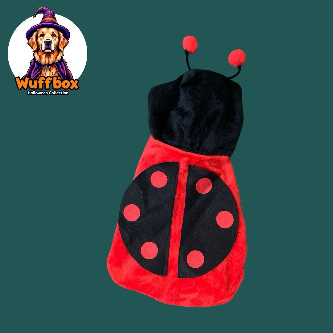 Lady Bug Halloween Costume