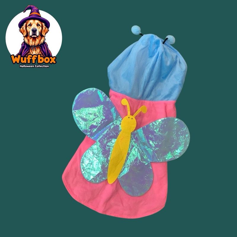 Iridescent Butterfly Costume