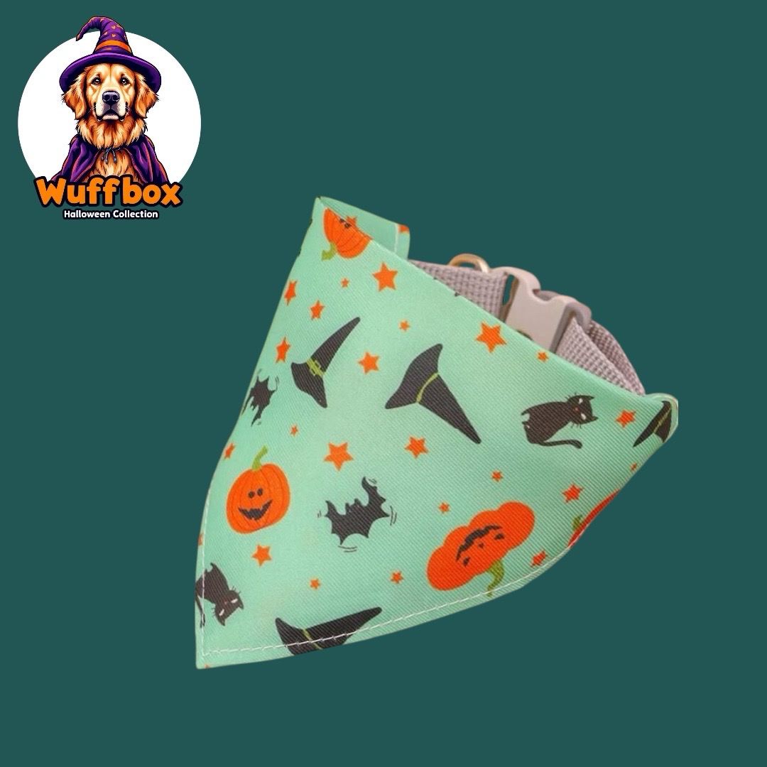 Halloween Theme - Mint Green Bandana Bib Collar