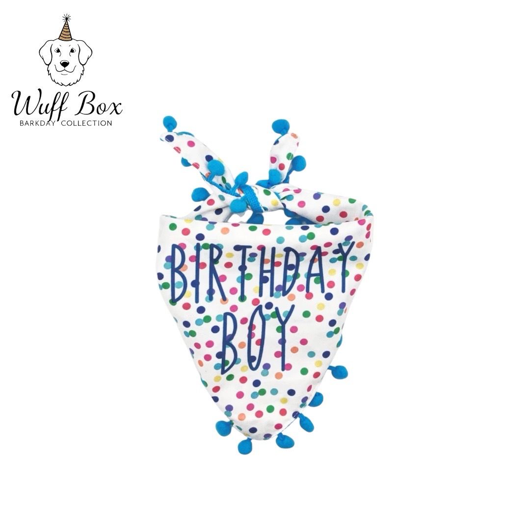 Birthday Boy Pom Pom Bandana