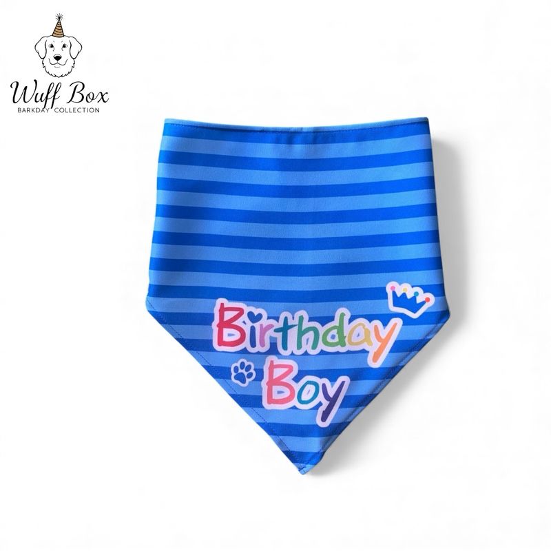 Stripe BarkDay Boy Bandana 