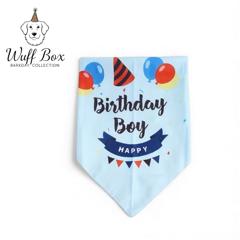 Baby Blue Birthday Boy Bandana 