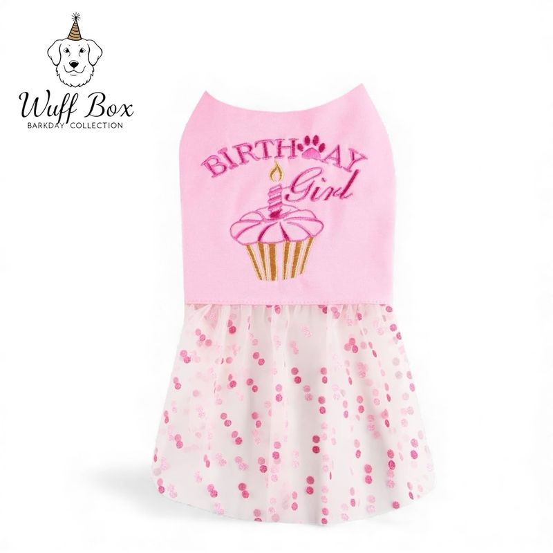 Birthday Girl Cupcake Print Dress
