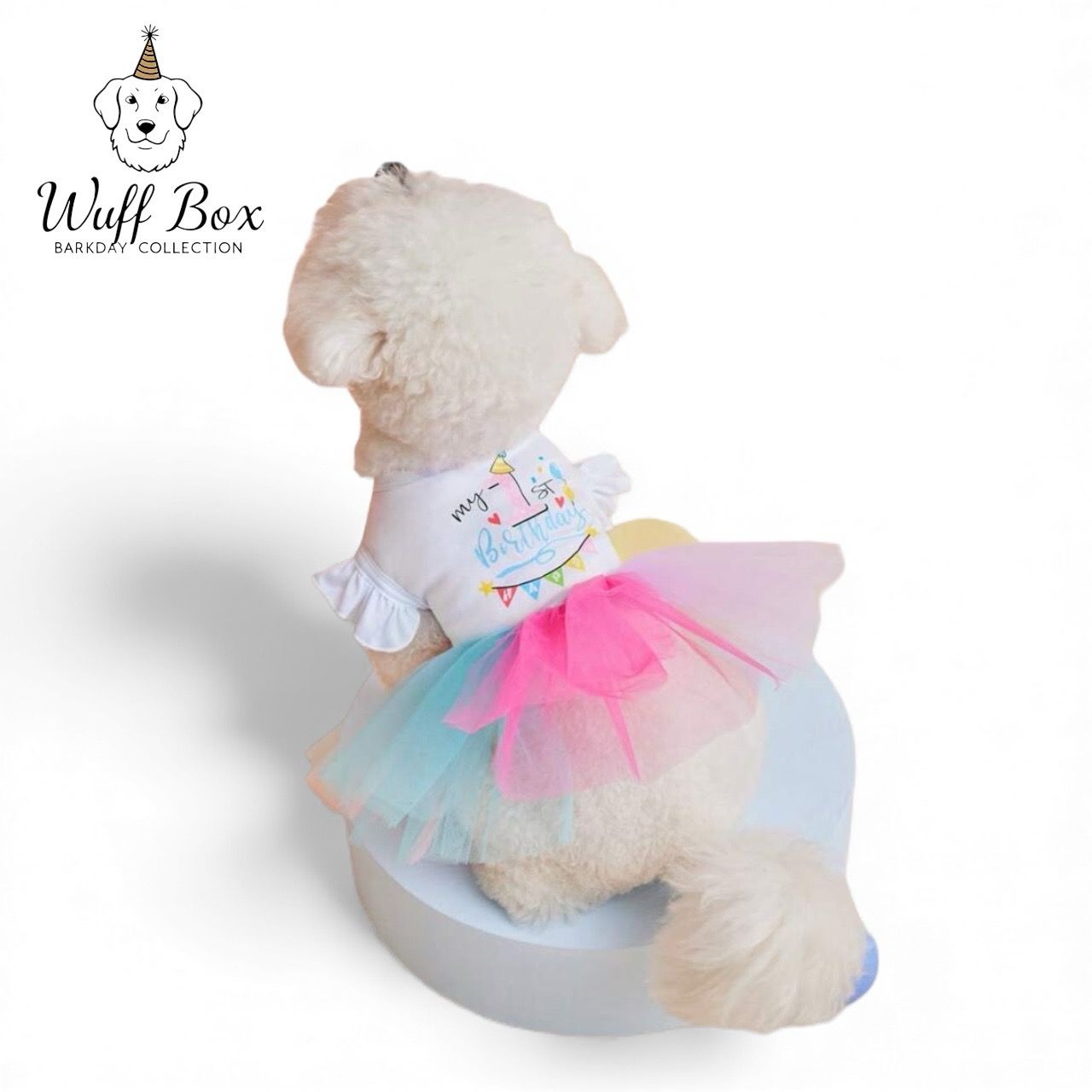 “My 1st Birthday” Tutu Dress