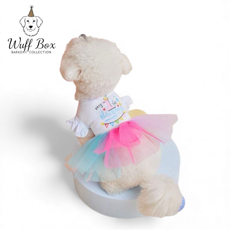 “My 1st Birthday” Tutu Dress