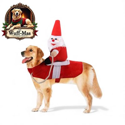 Santa Claus Costume
