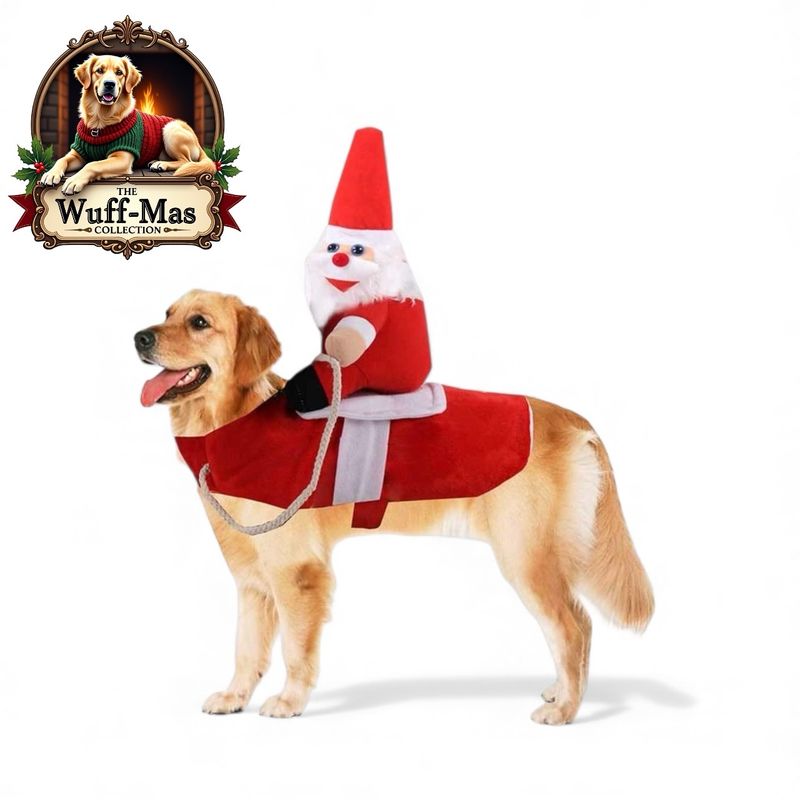 Santa Claus Costume