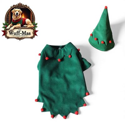 Elf Holiday Costume