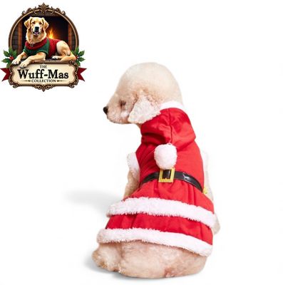 Mrs. Claus Holiday Velvet Costume