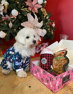 Petite Paw Holiday Wuff Box