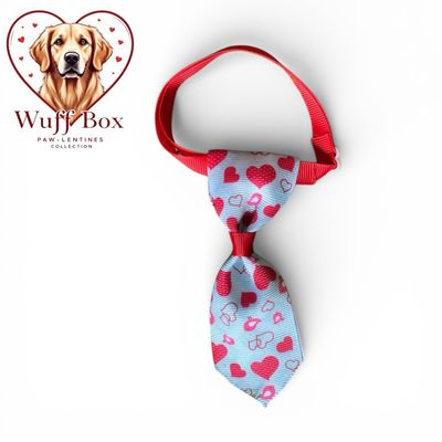PawLentines Accessories
