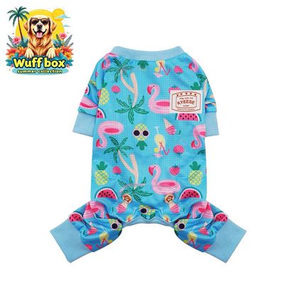 Summer Onesies
