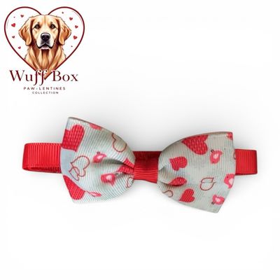 Valentines Theme Bow Necktie