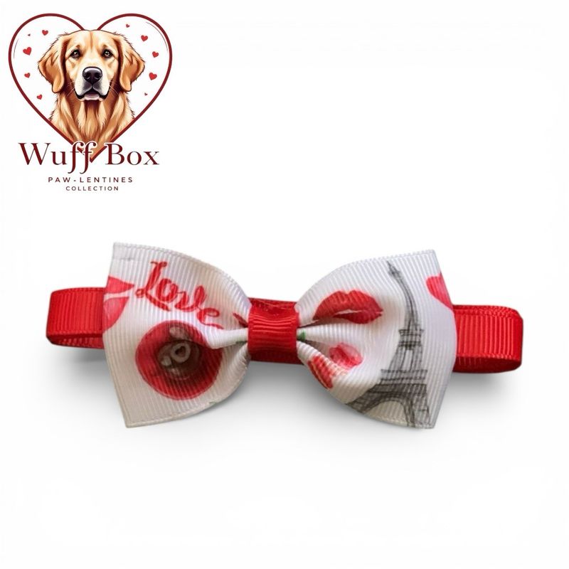 Valentines Theme Bow Necktie