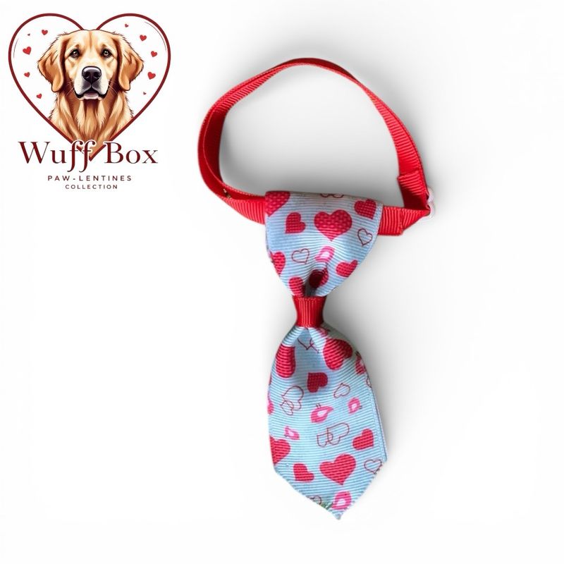 Valentines Theme Necktie