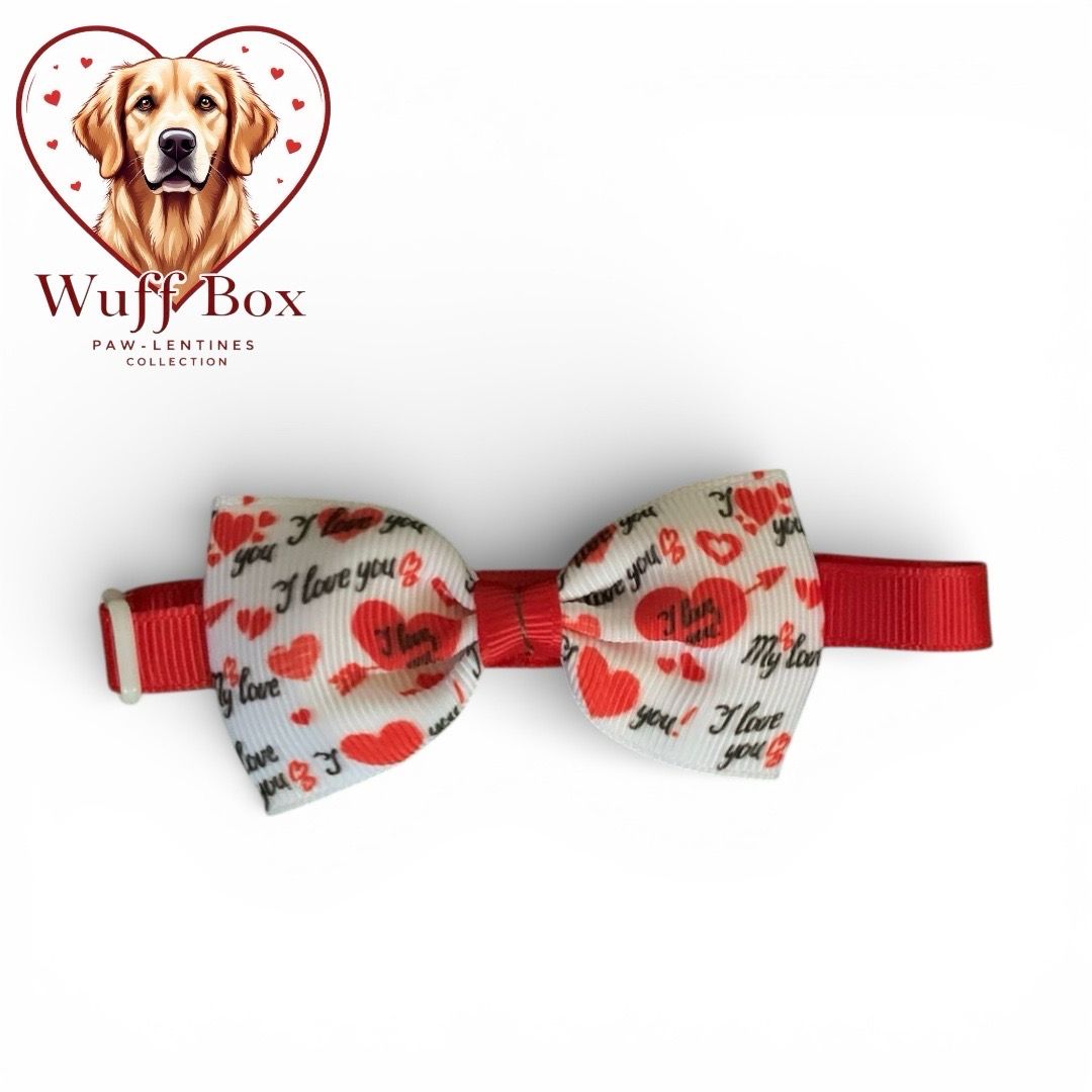 Valentines Theme Bow Necktie
