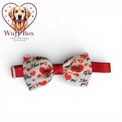 Valentines Theme Bow Necktie