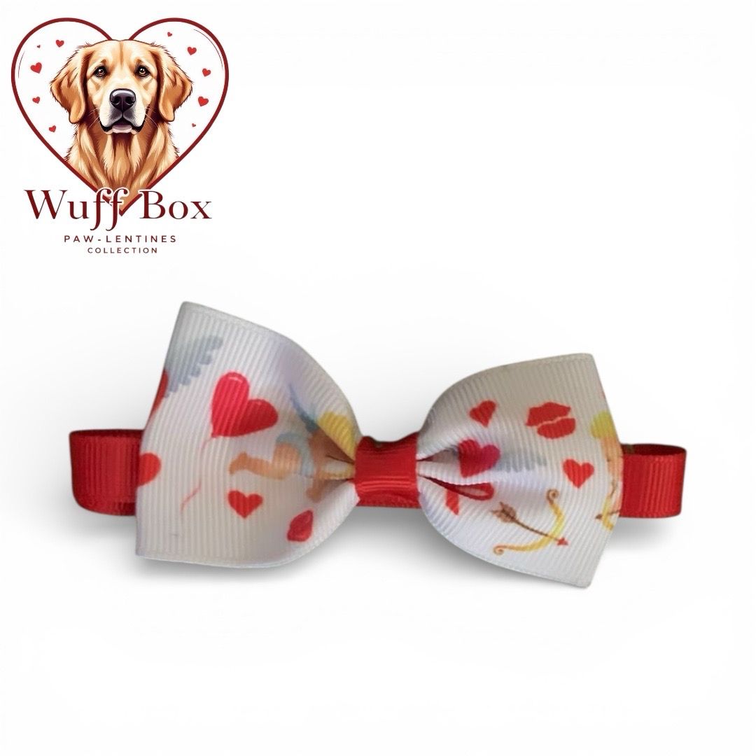 Valentines Theme Bow Necktie